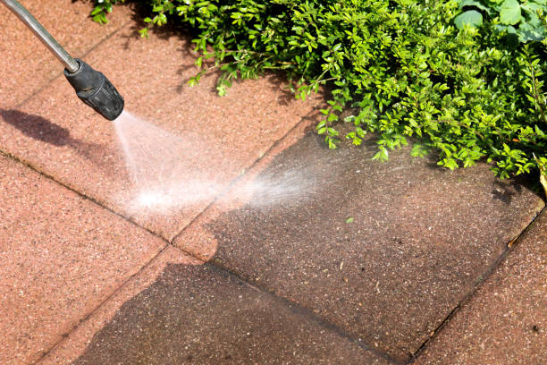 Best Roof Pressure Washing  in Redington Beach, FL